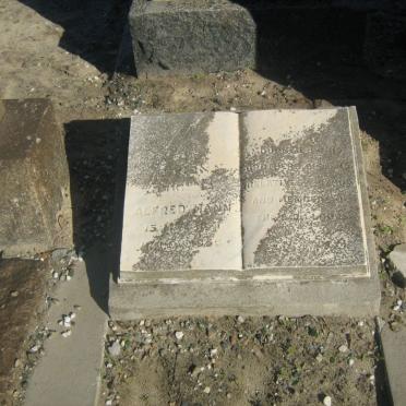 MANN Alfred 1871-1956