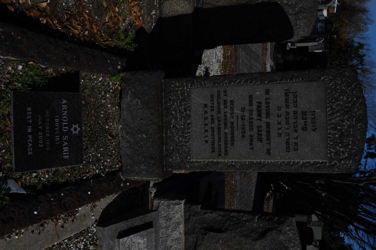 SARIF Arnold 1915-2003 :: SARIF Fanny -1954