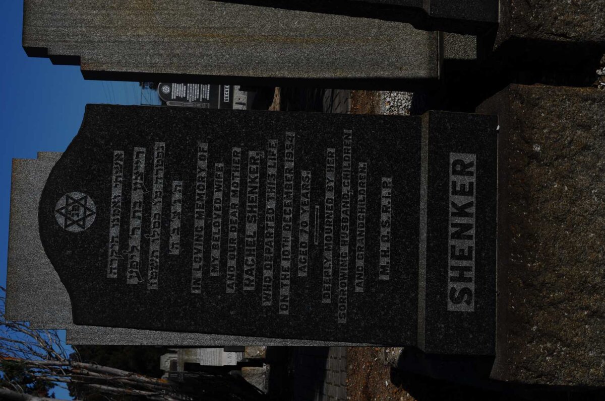 SHENKER Rachel -1954