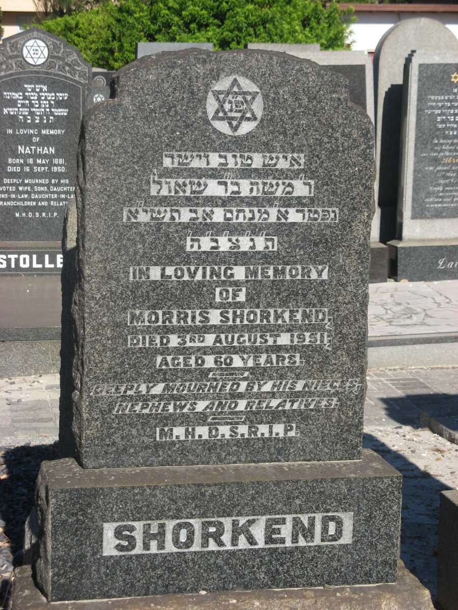 SHORKEND Morris -1951