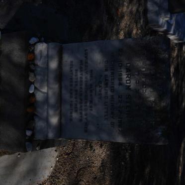 STEIN Dardon 1964-1967