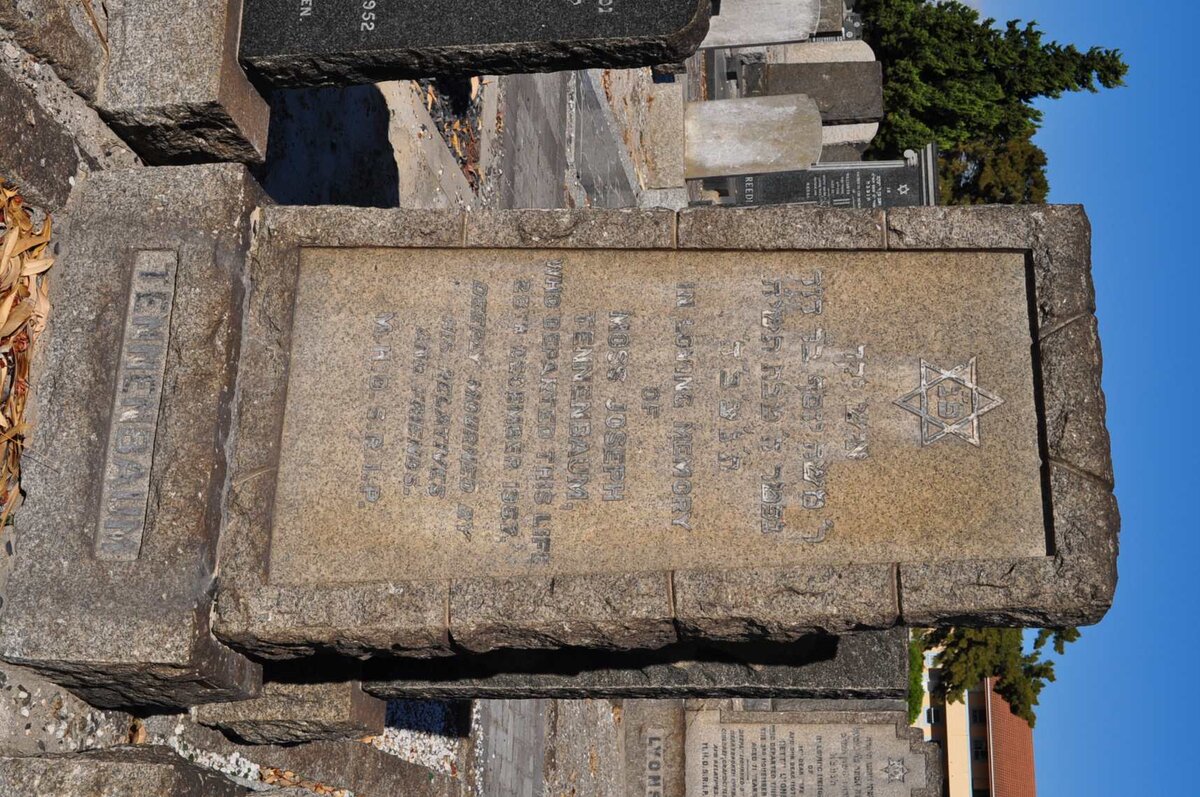 TENNENBAUM Moss Joseph -1957