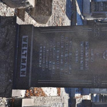 WELTMAN Charles -1950