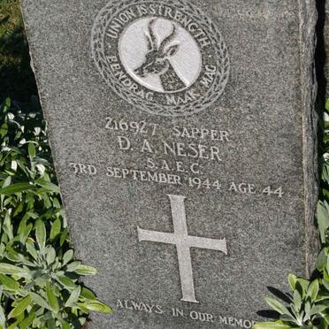 NESER D.A. -1944
