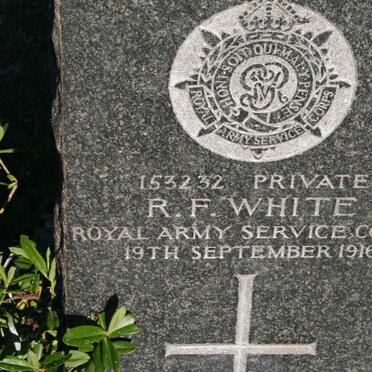 WHITE R.F. -1916
