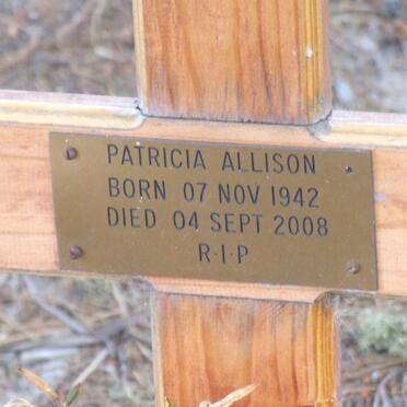 ALLISON Patricia 1942-2008