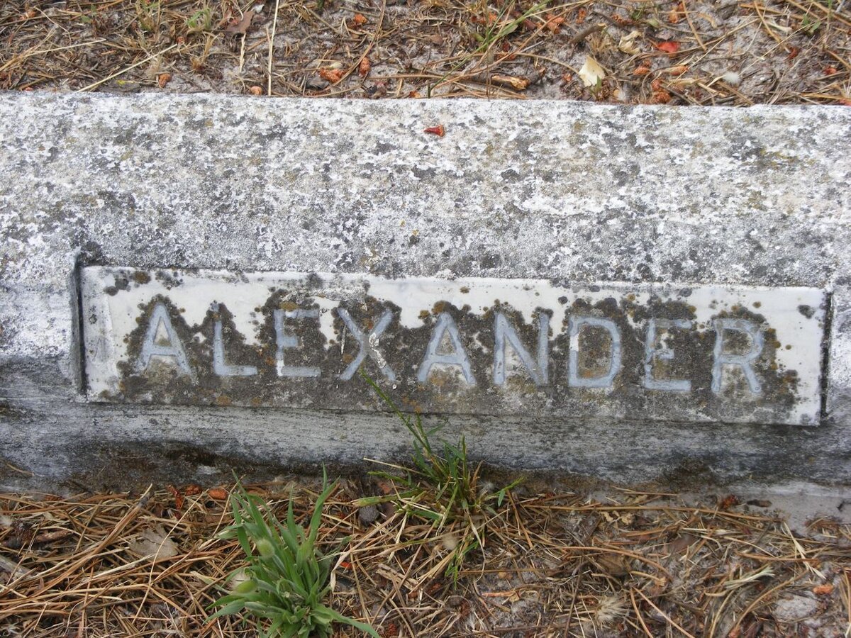ALEXANDER