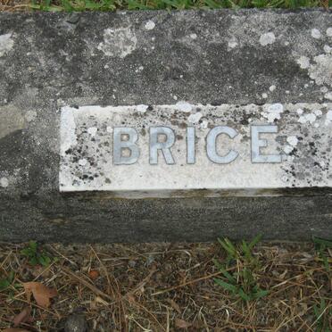 BRICE ?