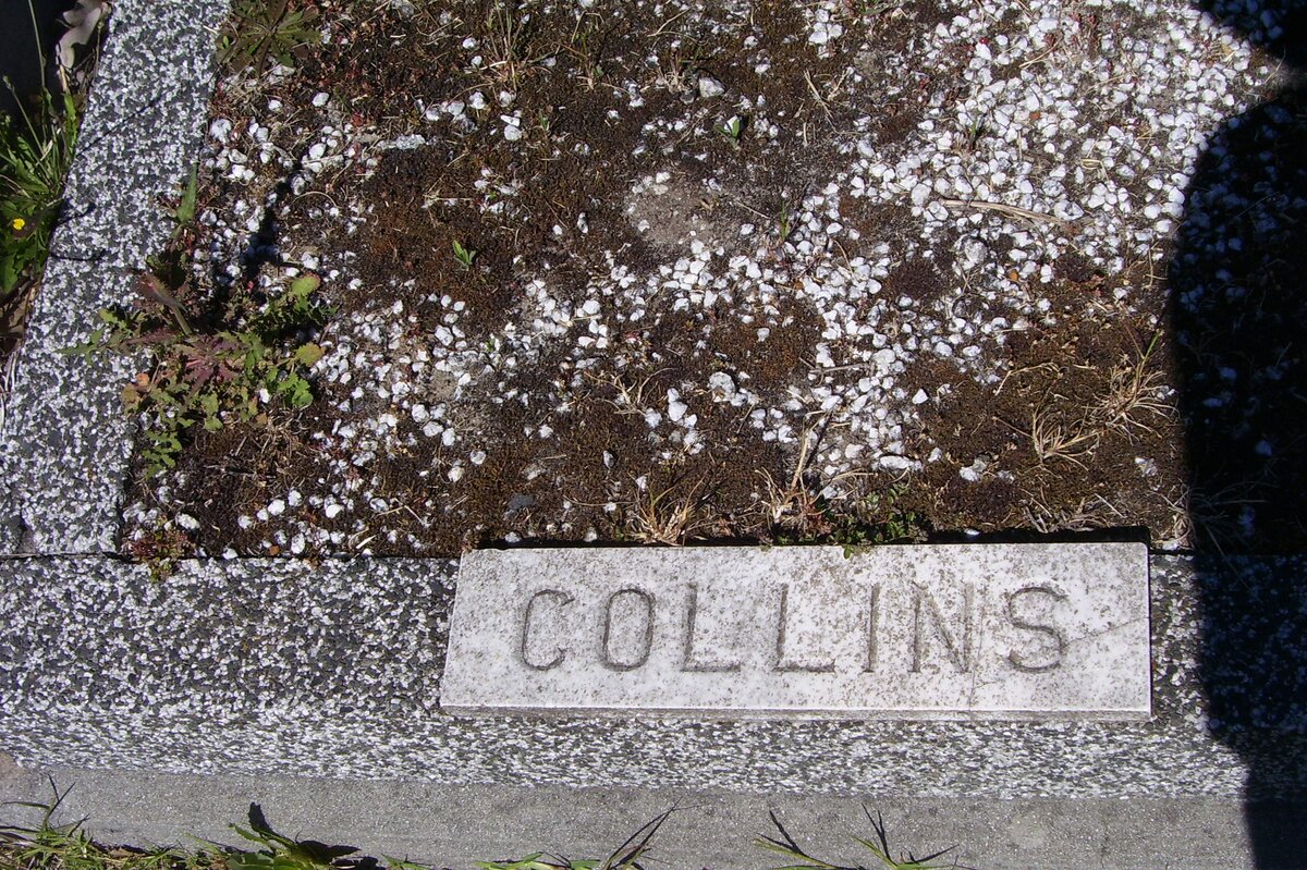 COLLINS