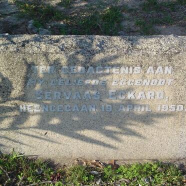 ECKARD Servaas -1950