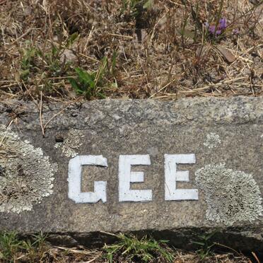 GEE