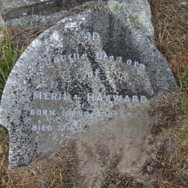 HAYWARD Merina 1853-1928