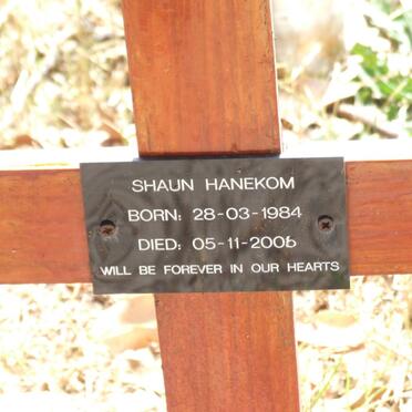HANEKOM Shaun 1984-2006