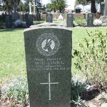 LINES W.C. -1918