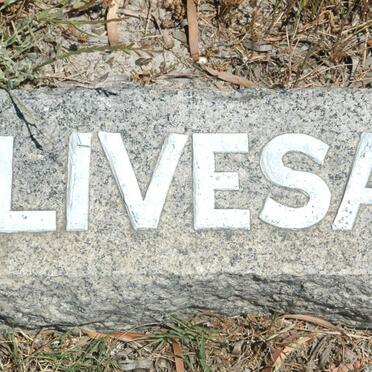 LIVESAY