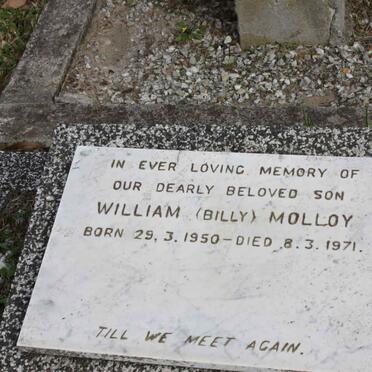 MOLLOY William 1950-1971 _2