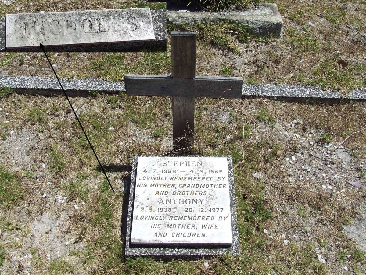 NICHOLLS Anthony 1938-1977 :: NICHOLLS Stephen 1966-1966