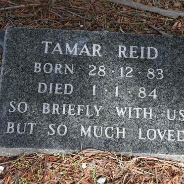 REID Tamar 1983-1984
