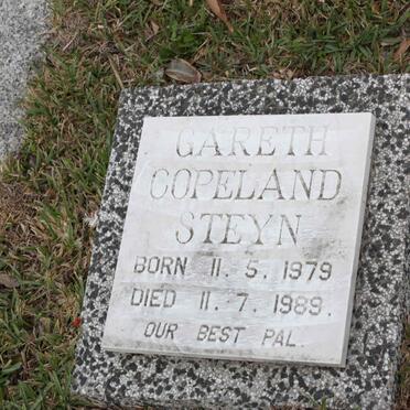 TAYLOR Ronald Latimer 1916-1971 :: TAYLOR Sheelagh Ann 1959-1961 :: STEYN Gareth Copeland 1979-1989