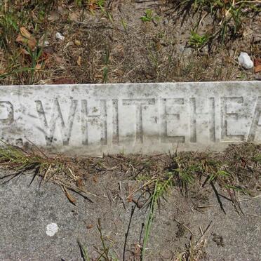 WHITEHEAD P.