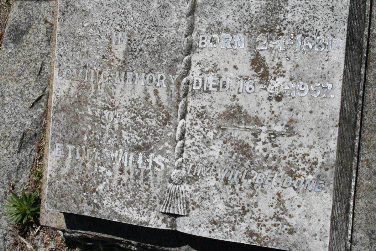 WILLIS Ethel 1881-1957