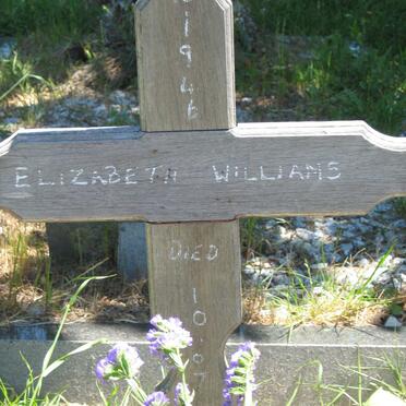 WILLIAMS Elizabeth 1946-