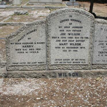 WILSON Joe -1956 &amp; Mary -1975 :: WILSON Harry -1981 :: WILSON Joe Karpesteyn -1993 &amp; Tabitha Alletha 1913-2000