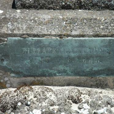 COLLINS Elizabeth -1906