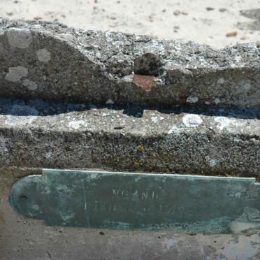 N - Vanne :: Surnames - N