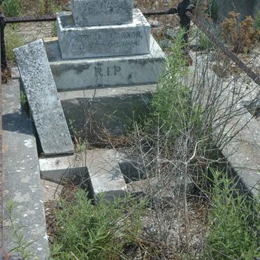 CONNOR Patrick -1904