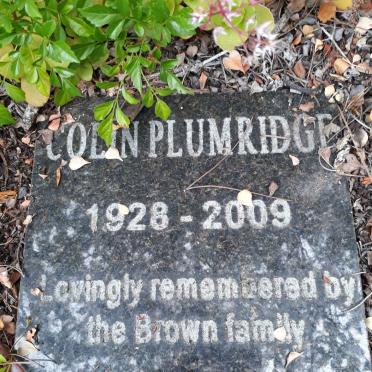 PLUMRIDGE Colin 1928-2009