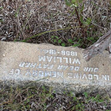 BELDING William 1858-1941