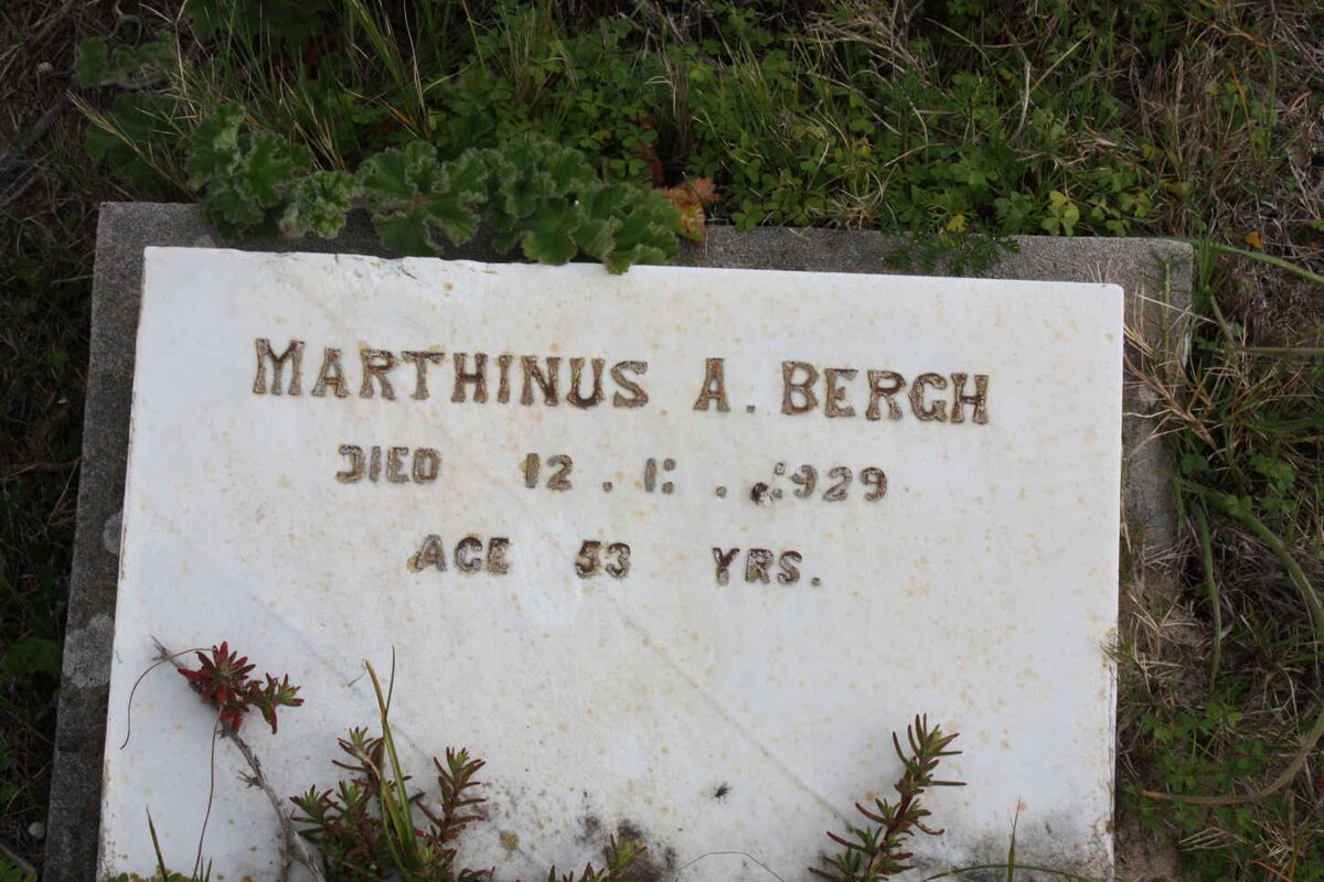 BERGH Marthinus A. -1929