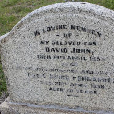 FERNANDEZ David John -195? :: FERNANDEZ Cecil ? ?-?