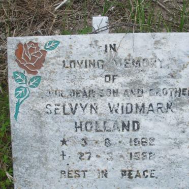 HOLLAND Selvyn Widmark 1962-1992