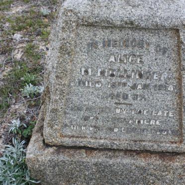 MULLINGER Alice M. -1918