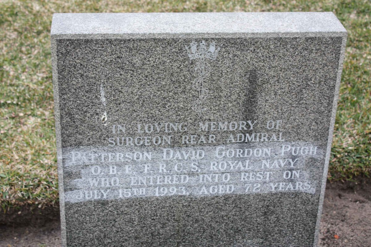 PATTERSON David Gordon Pugh -1993