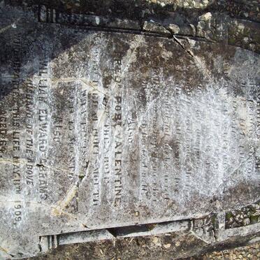 ABRAMS William Edward -1909 &amp; Sophia S. -18?? :: ABRAMS Frederik Robert Valentine -188?