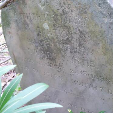 CURTIS Catherine Mary -1898