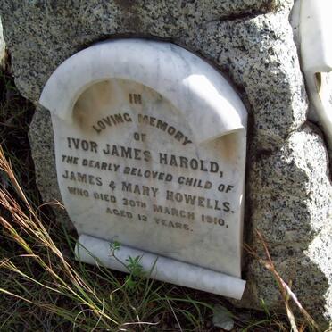 HOWELLS Ivor James Harold -1910