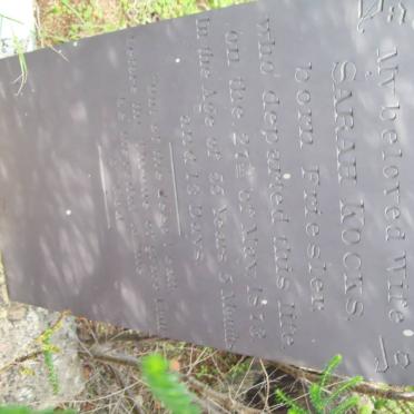 K - Surnames :: Vanne - K