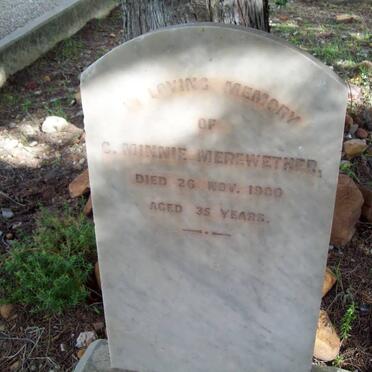 MEREWETHER C. Minnie -1900