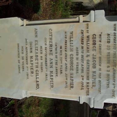 NAPIER William George -1913 &amp; Catherine Ann -1930 :: NAPIER James Alfred -1906 :: NAPIER George Jacob -1903