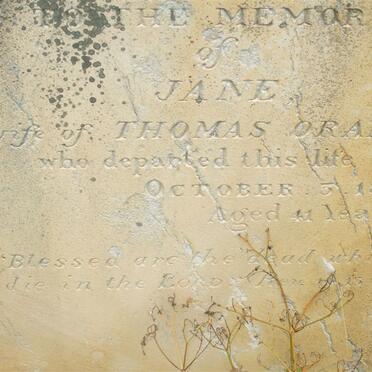 O - Surnames :: Vanne - O