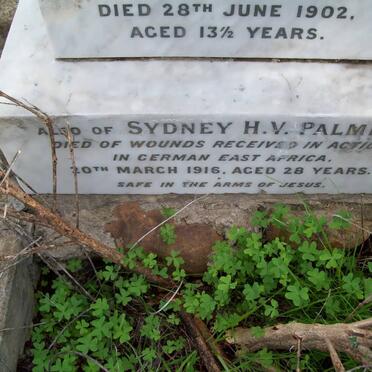 PALMER Sydney H.V. -1916
