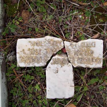 PREECE Alfred Edward 1911-1911