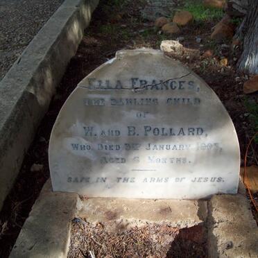 POLLARD Ella Francis -1905