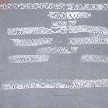 SKEAD Anne Effie 1862-1862 :: SKEAD Laura Affie 1862-1862