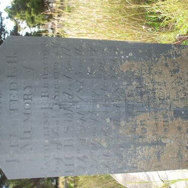 SHERIFF Catherine E. nee RICHARDSON -1823