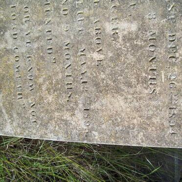 SEAGER Ernest -1894 :: SEAGER Nellie -1895